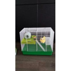 Supermooie ruime Hamsterkooi