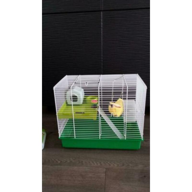 Supermooie ruime Hamsterkooi