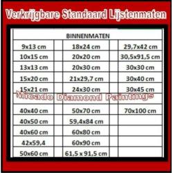 ¦ Diamond Painting Feyenoord 40*60 Full-Volledig