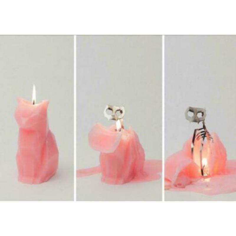 Pyropet kaars skelet kat roze nieuw