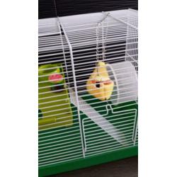 Supermooie ruime Hamsterkooi