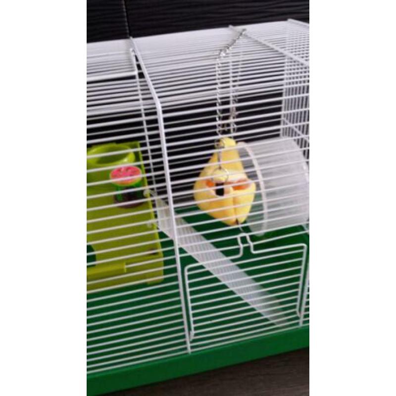 Supermooie ruime Hamsterkooi