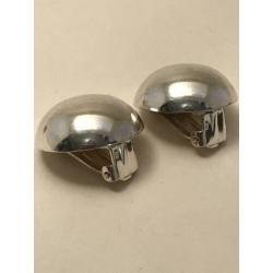 Grote zilveren clips