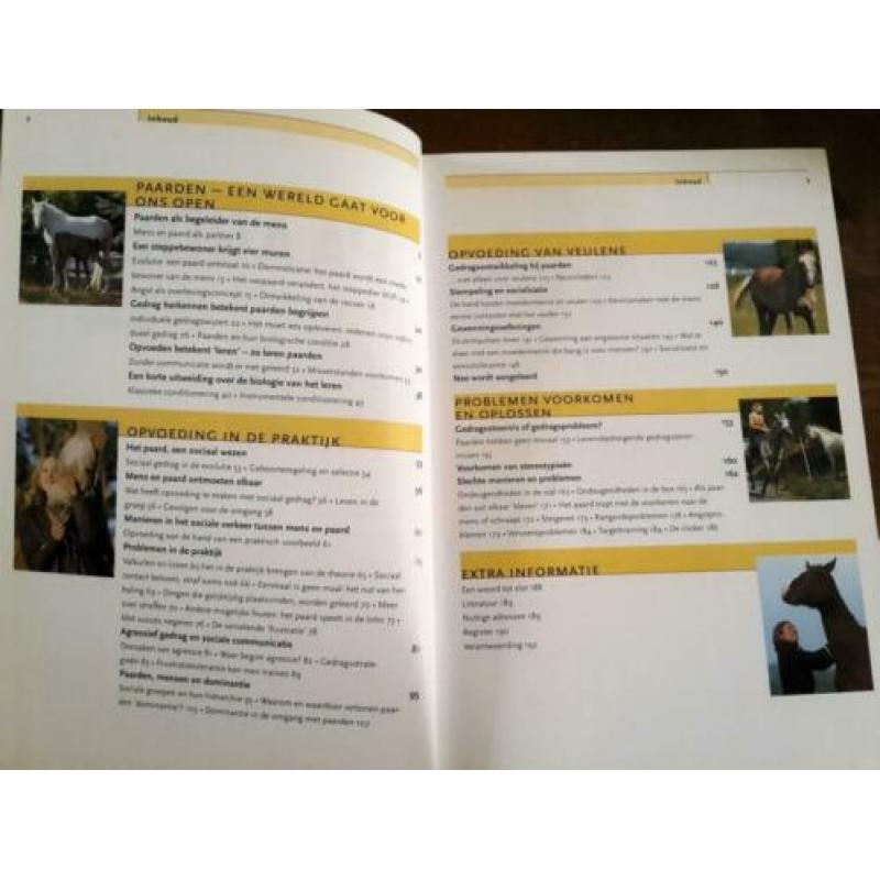 Paarden beter begrijpen, beter opvoeden, Barbara Schoning