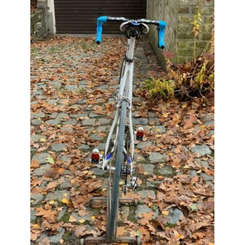 Race-fiets ridley campagnolo chorus carbon te koop. IZGS!
