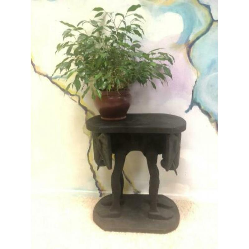 Planten tafeltje olifant