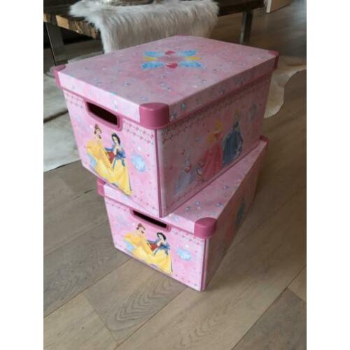Disney Prinsessen kist / bak / opbergdoos roze