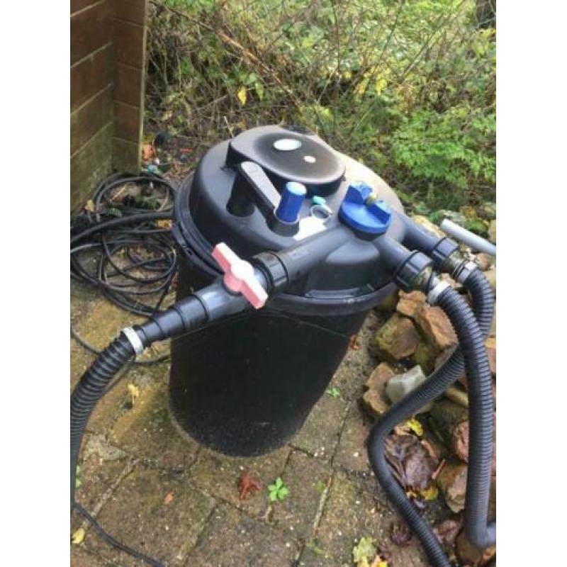 Koikarpers te koop!