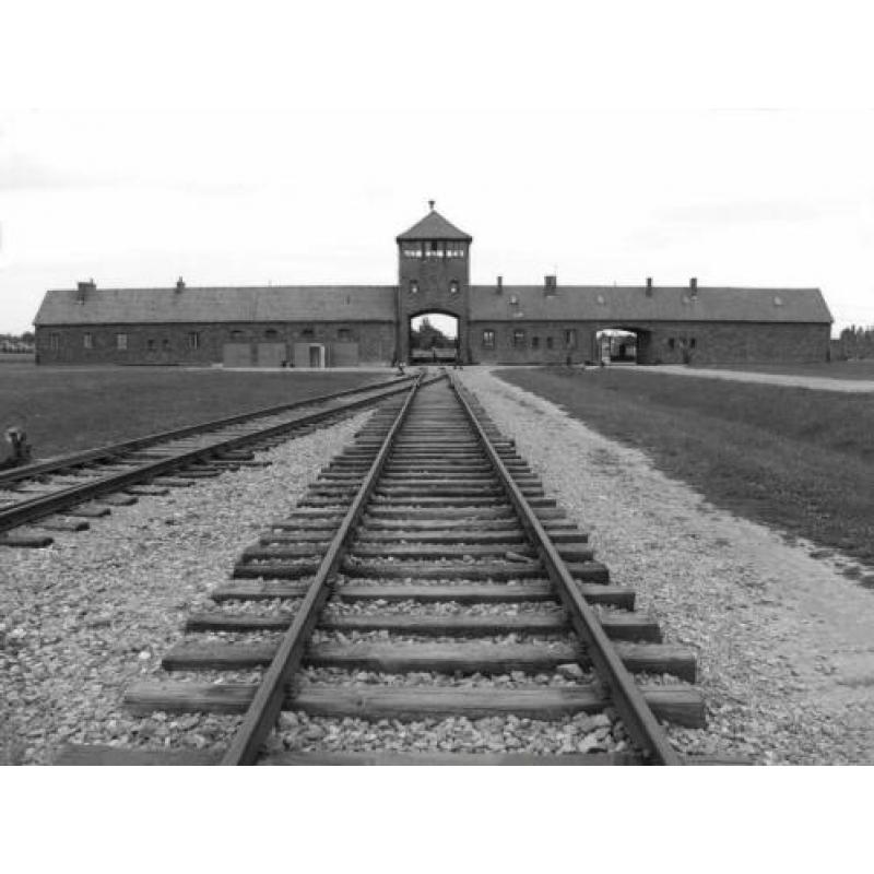 Gouden 24 Karaat WW2 Auschwitz 1940 Baar 999 verguld