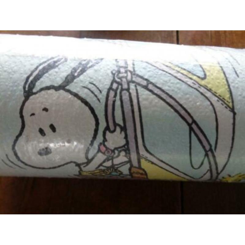 Vintage Snoopy behang Bammental West Germany