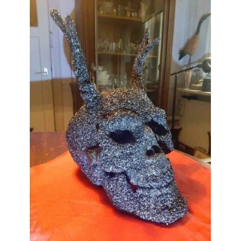 Menselijke Skull, schedel met hoorns.
