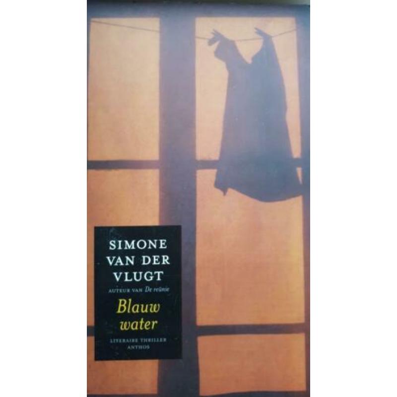 Simone van der Vlugt- De reünie