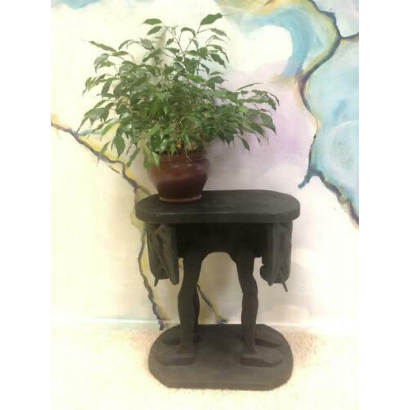 Planten tafeltje olifant