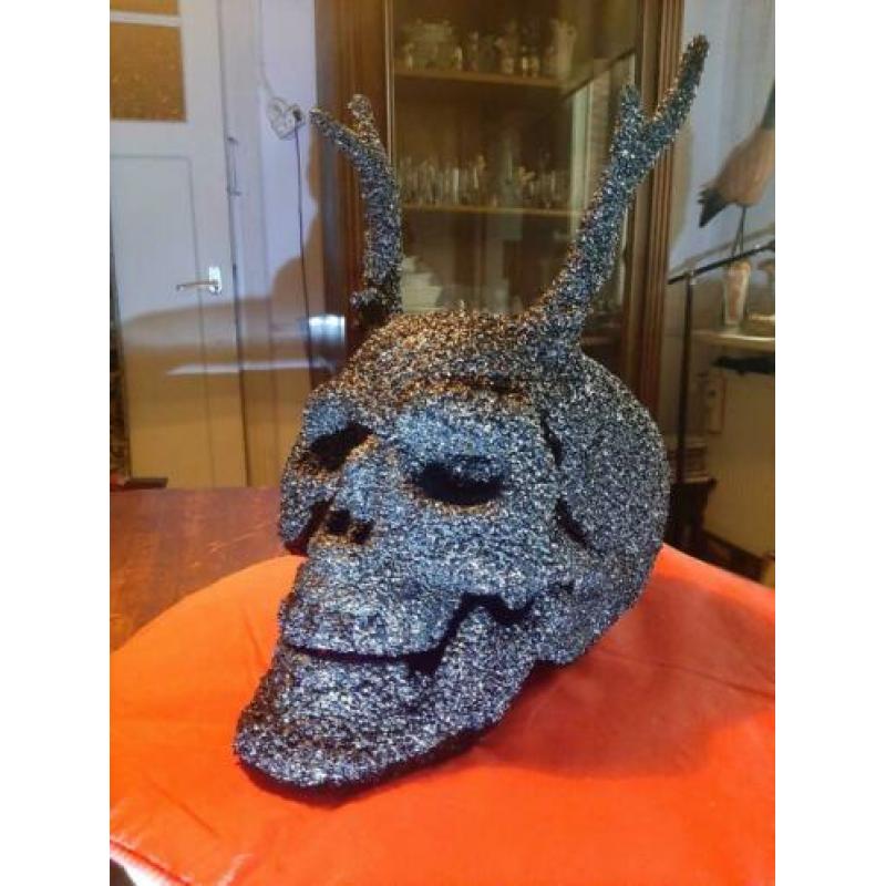Menselijke Skull, schedel met hoorns.