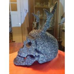 Menselijke Skull, schedel met hoorns.