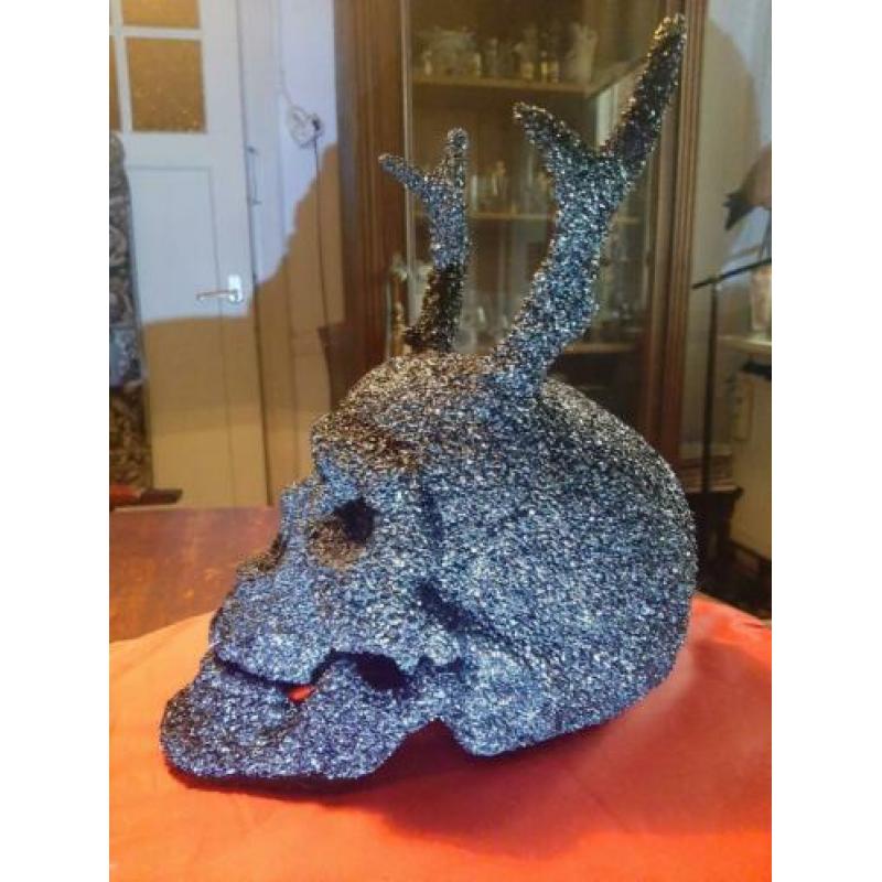 Menselijke Skull, schedel met hoorns.