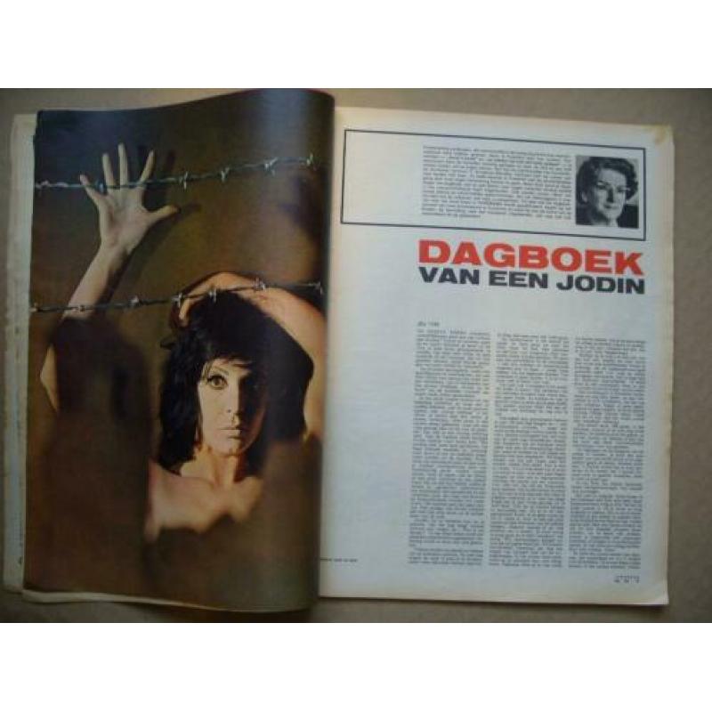 D.w.s. - panorama 1964
