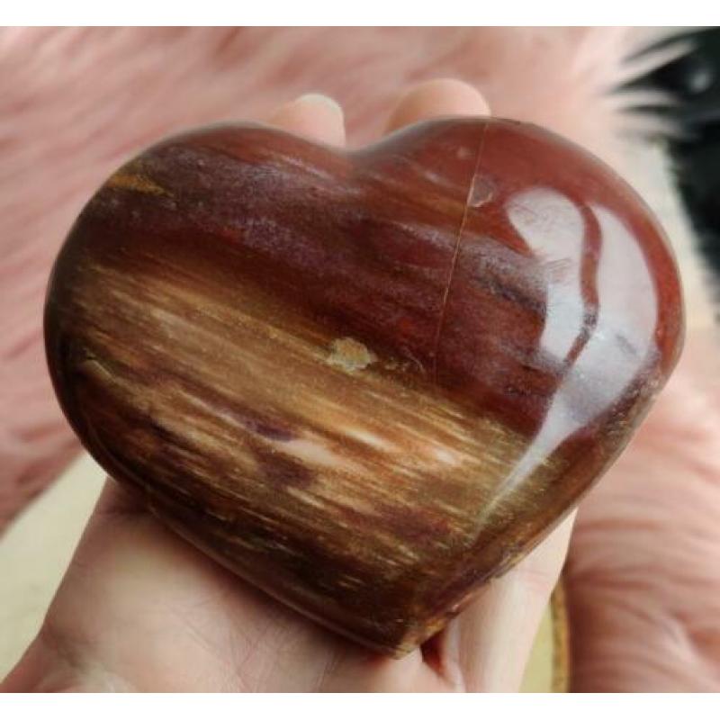 Hart Versteend Hout