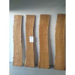 Boomstam, Schaaldeel, Boom, Frans eiken, Moeras, Eiken