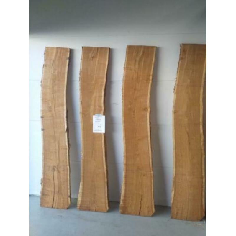 Boomstam, Schaaldeel, Boom, Frans eiken, Moeras, Eiken