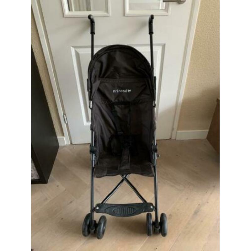 Prenatal buggy