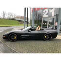 Chevrolet Corvette Cabriolet - 50 Anniversary - 6 bak - 2002