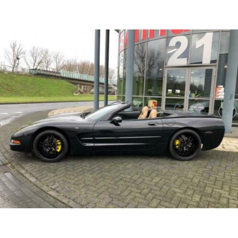 Chevrolet Corvette Cabriolet - 50 Anniversary - 6 bak - 2002