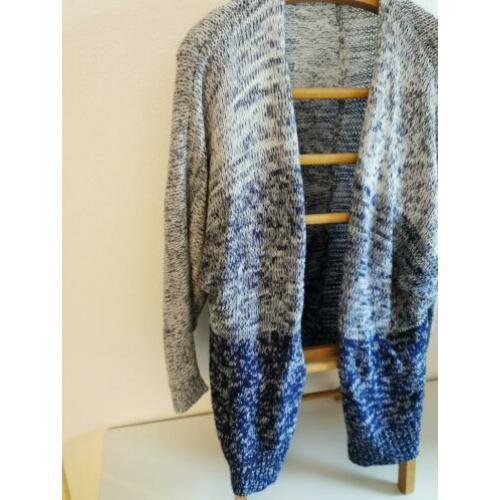 Vest maat 40.
