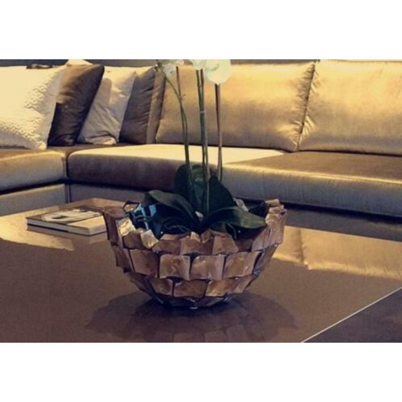 Luxe schelpenvaas moderne style op MAAT