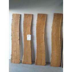 Boomstam, Schaaldeel, Boom, Frans eiken, Moeras, Eiken