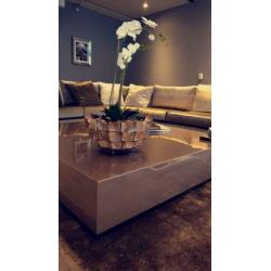 Luxe schelpenvaas moderne style op MAAT