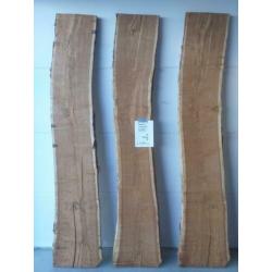 Boomstam, Schaaldeel, Boom, Frans eiken, Moeras, Eiken