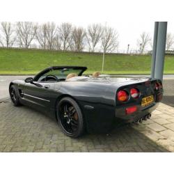 Chevrolet Corvette Cabriolet - 50 Anniversary - 6 bak - 2002
