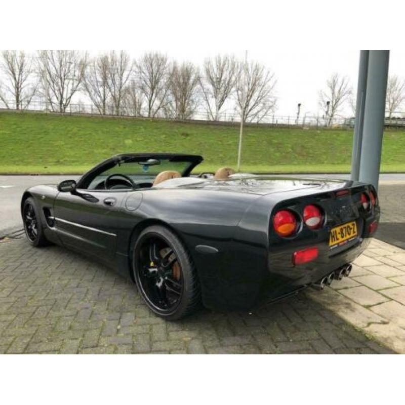 Chevrolet Corvette Cabriolet - 50 Anniversary - 6 bak - 2002