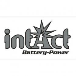 intAct GEL 12-N50-18L-A 12v 20ah 300A (EN) 52012 Y50N18LA2