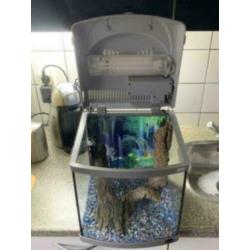 Aquarium Superfish 40