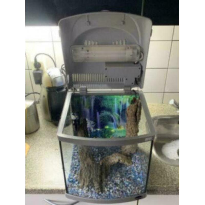 Aquarium Superfish 40