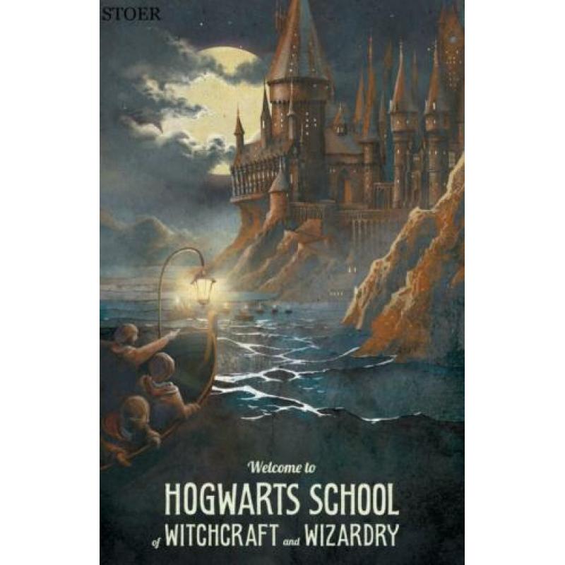 harry potter en de halfbloed prins poster boeken bluray