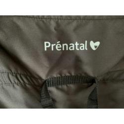 Prenatal buggy