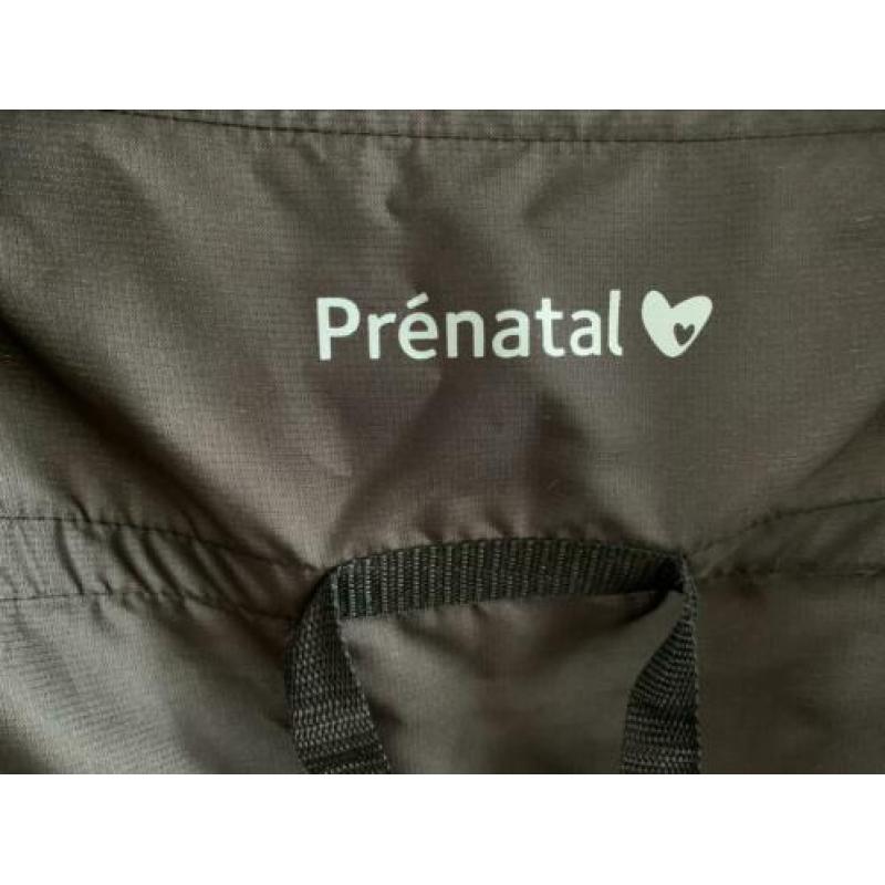 Prenatal buggy