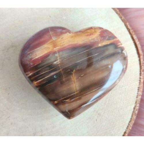 Hart Versteend Hout