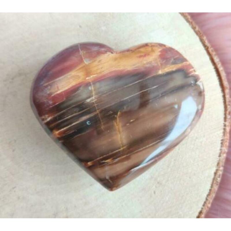 Hart Versteend Hout