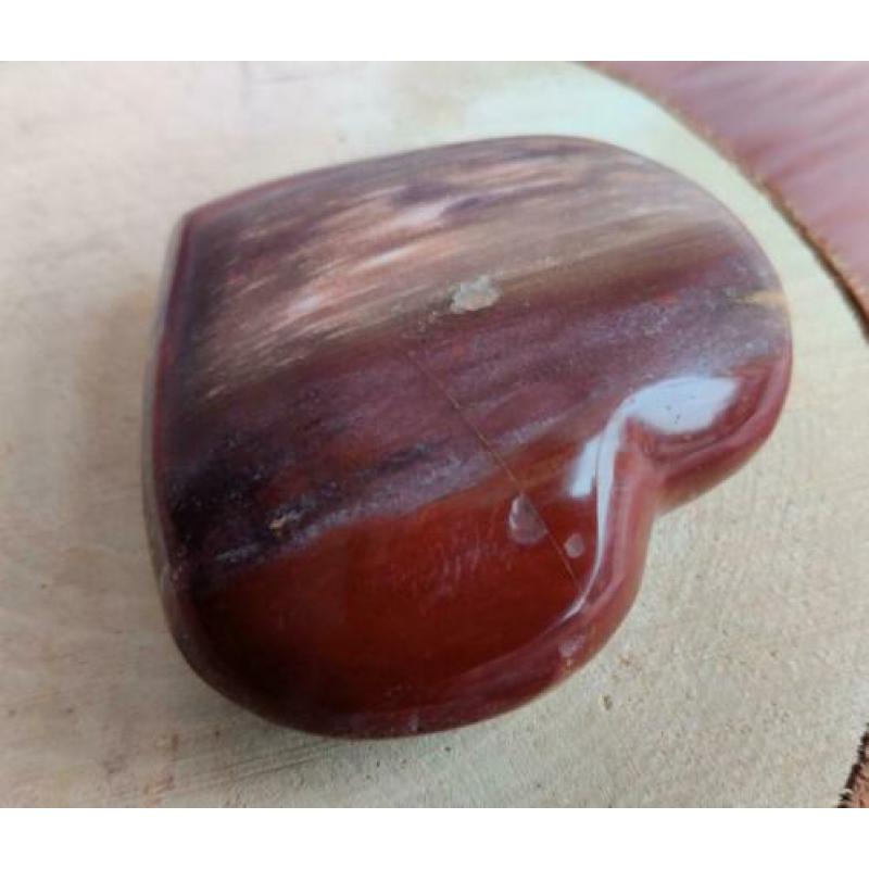 Hart Versteend Hout