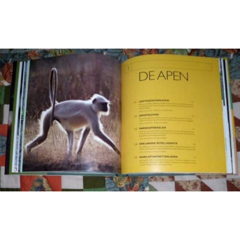 Apen onze Verwanten