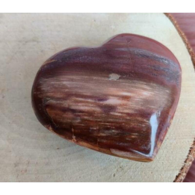 Hart Versteend Hout