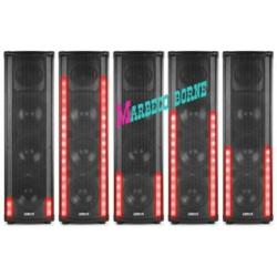 Karaoke, Actieve speaker Light Motion Bluetooth,SD,USB, LM80