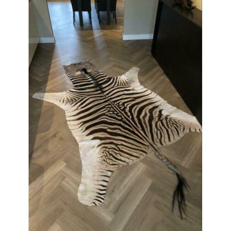 Echte zebrahuid kleed | Cites | Eric Kuster fan? | FYI