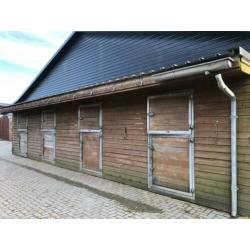 Paarden boxen