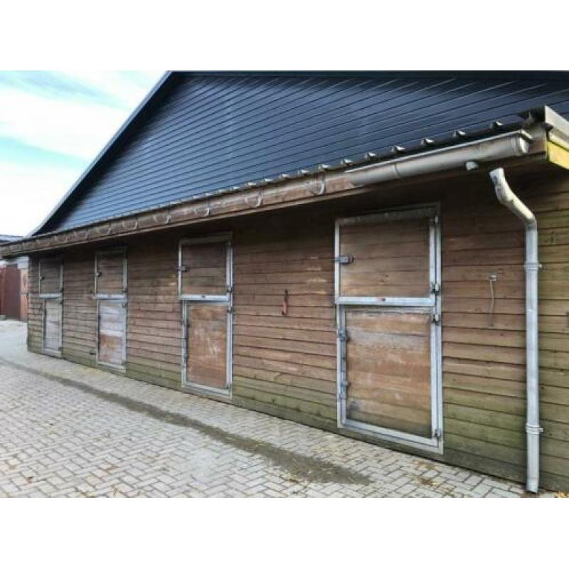 Paarden boxen