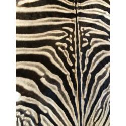 Echte zebrahuid kleed | Cites | Eric Kuster fan? | FYI